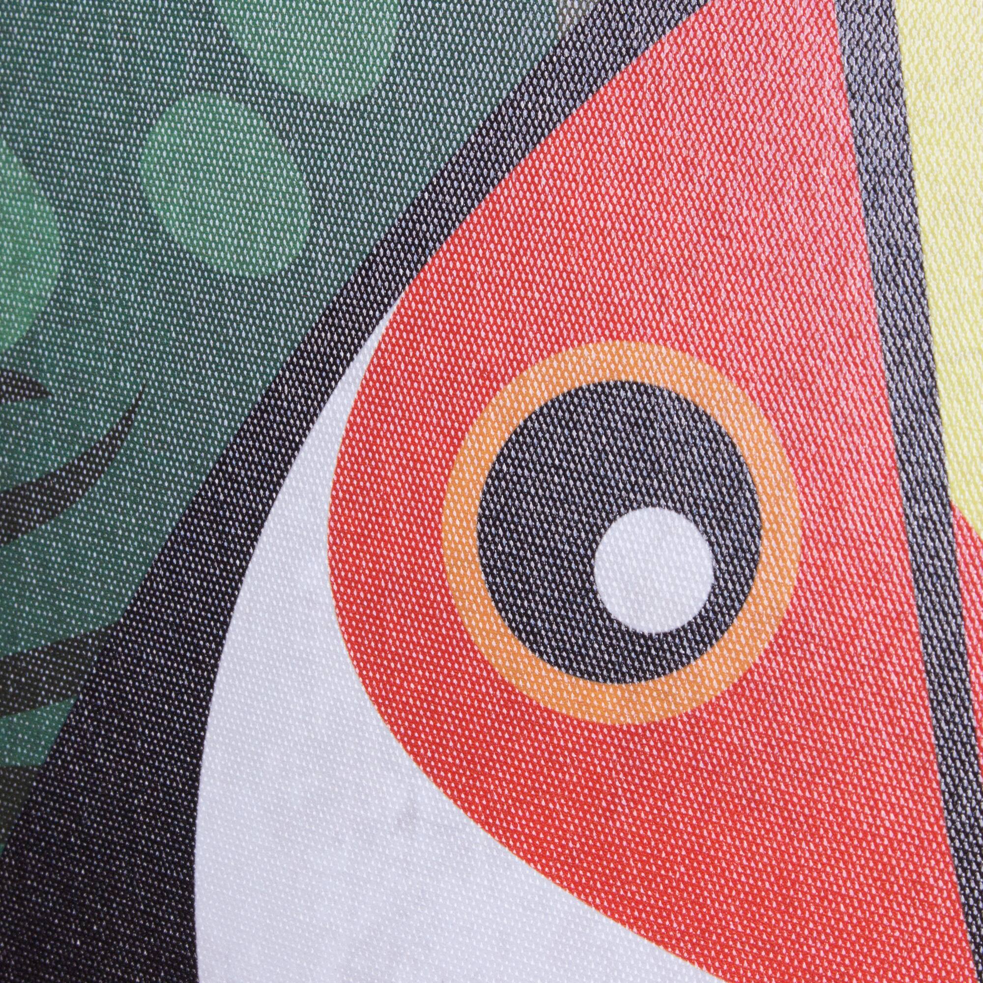 Toucan Birds Outdoor Canvas Art Print - 35"x35"